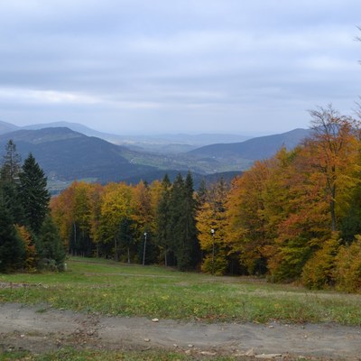 DSC_0215_1200x800